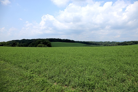 Richmond Township